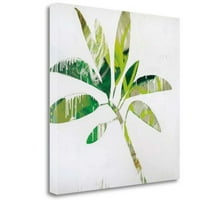 Tangletown Fine Art Tropical Landscape IV от Brenda K. Bredvik, платно за опаковане на галерия