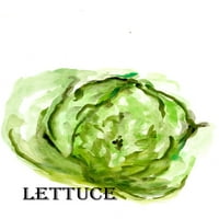 Veggie Sketch IX-Lettuce от Марси Чапман