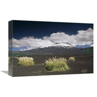 в. Pampas Grass Islands в Old Lava Flow, Lapya Volcano, Conguillio NP, Chile Art Print - Gerry Ellis