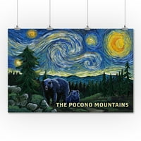 Планините Покон, звездна нощ, мечка и куб
