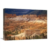 Глобална галерия в. Пейзаж на ерозирани формации, наречени Hoodoos & Fins, Национален парк Bryce Canyon, Utah Art Print - Тим Фицхарис